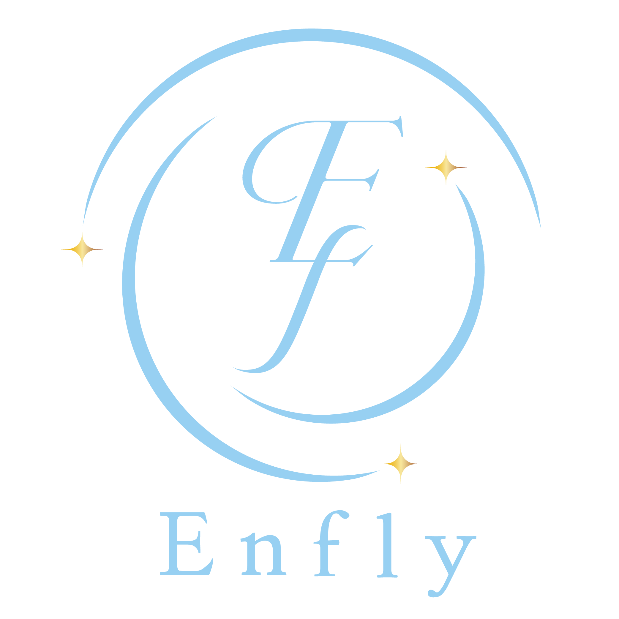 Enfly Logo